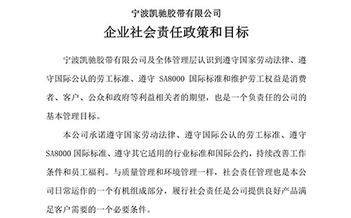企業社會責任政策、目標